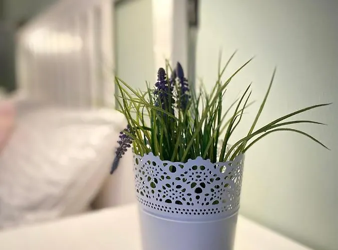 公寓 Bed N Riesling *