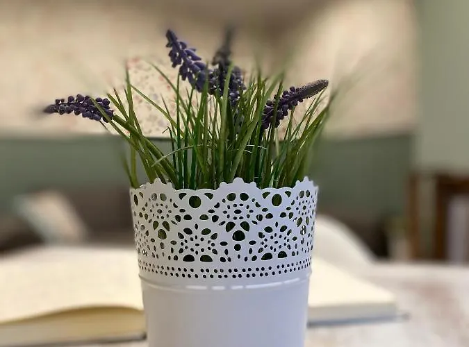 Bed N Riesling 公寓